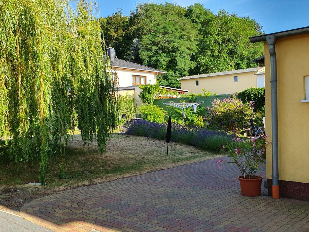 Ferienwohnung Ole Zinnowitz Exteriér fotografie